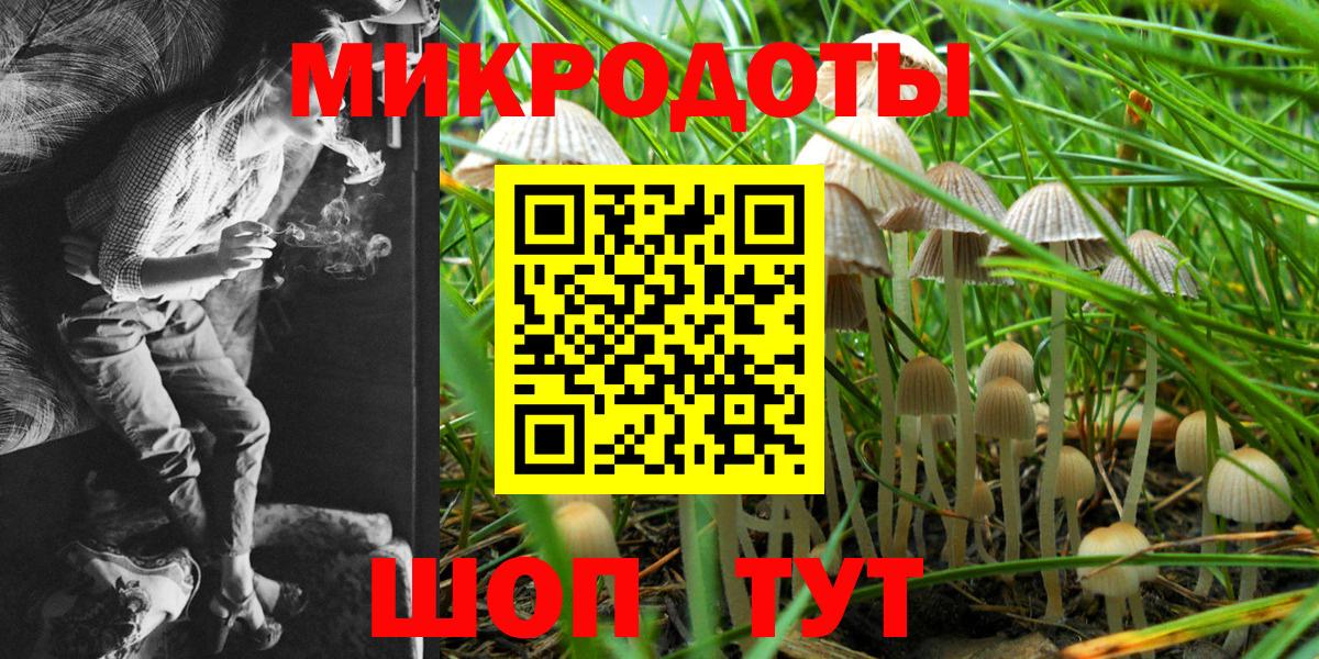 Галлюциногенные грибы Magic Shrooms  Псилоцибиновые грибы Psilocybine cubensis  где купить наркотик  Вход с VPN  Саранск 